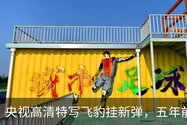 央视高清特写飞豹挂新弹，五年前传的东西这回坐实了
