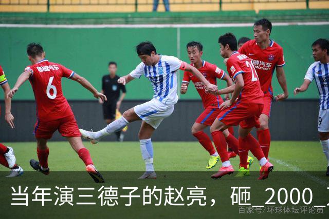 当年演三德子的赵亮，砸 2000 万进山养鸡多年，如今惨得不像个明